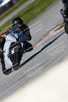 media/Jan-21-2023-Fastrack Riders (Sat) [[fcf3f88a30]]/Level 4/Session 4 Turn 6-Mountian Shot/